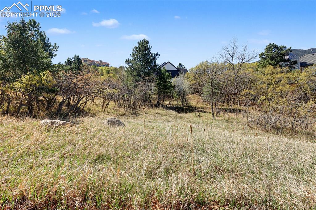 135 Chantrey Court Colorado Springs CO 80906