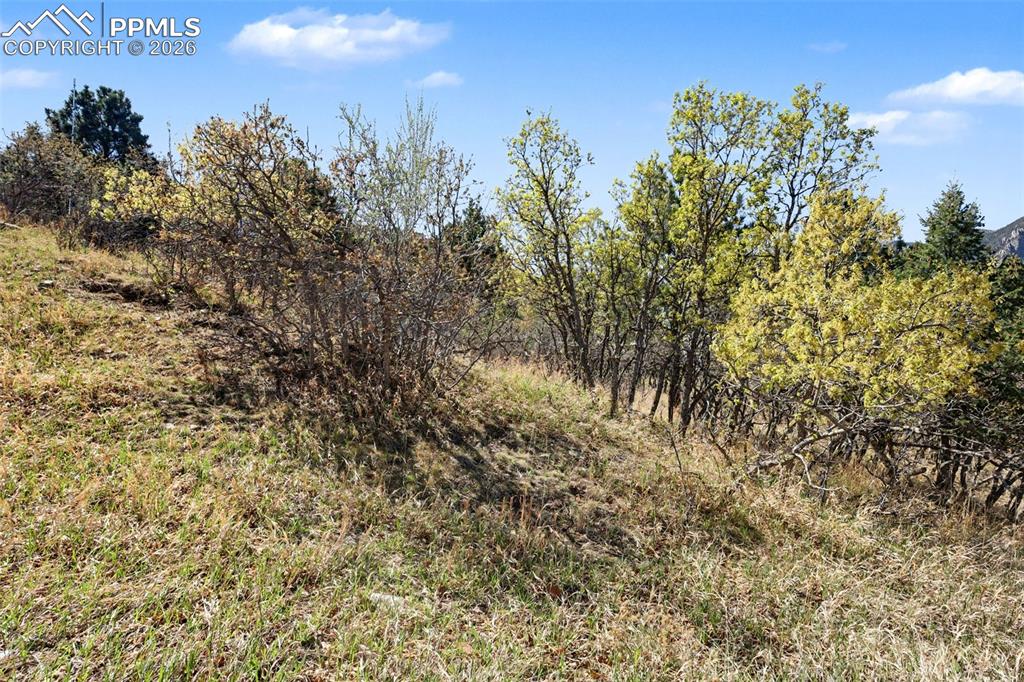 135 Chantrey Court Colorado Springs CO 80906