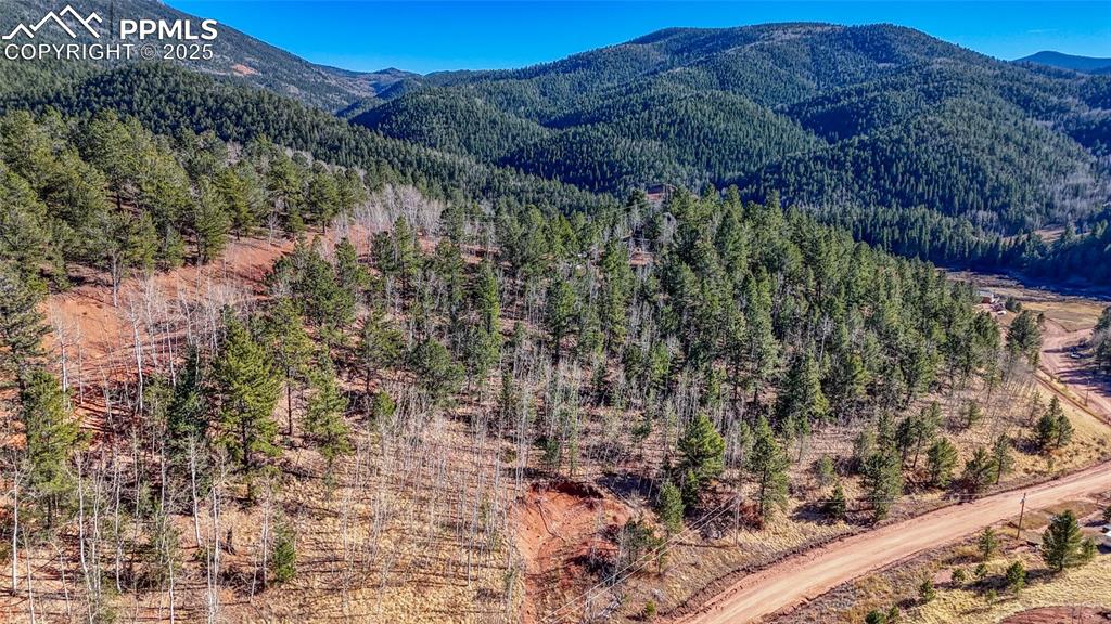 80 Beaver Pond Road Divide CO 80814