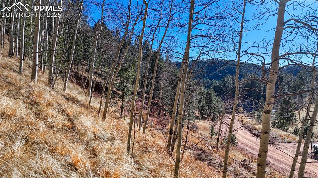 80 Beaver Pond Road Divide CO 80814