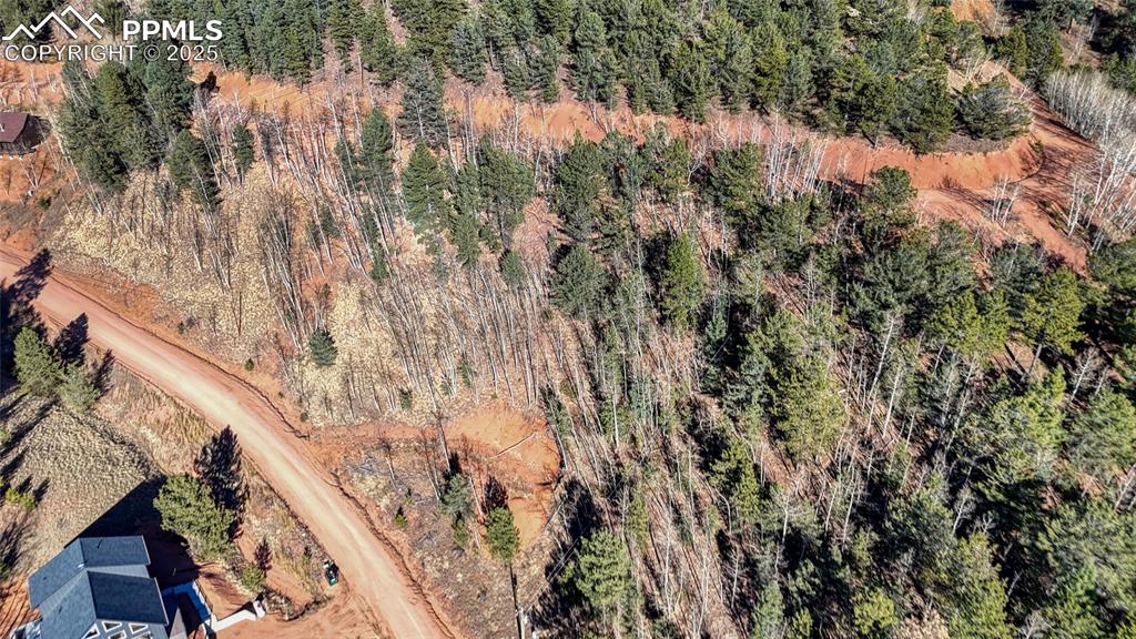 80 Beaver Pond Road Divide CO 80814