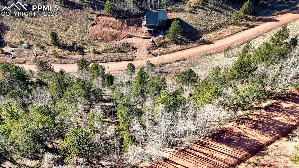 80 Beaver Pond Road Divide CO 80814
