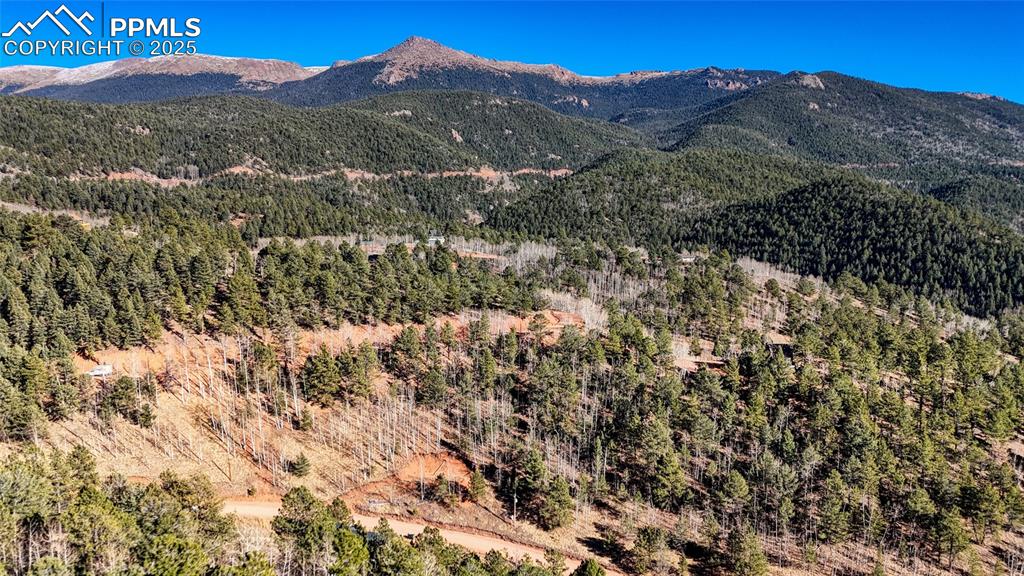 80 Beaver Pond Road Divide CO 80814