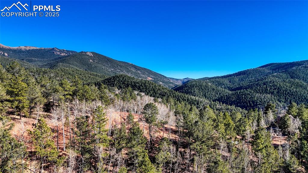 80 Beaver Pond Road Divide CO 80814