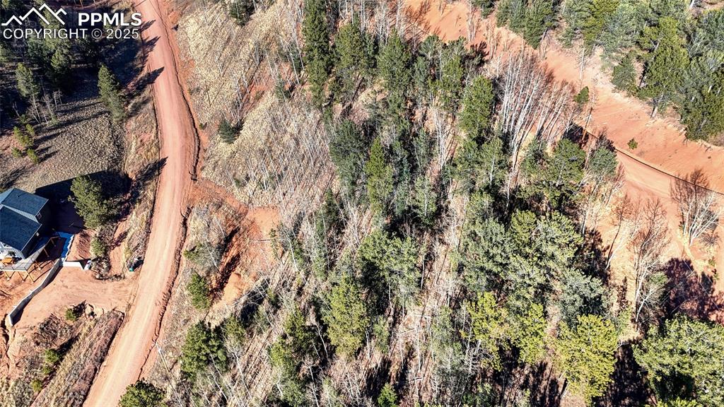 80 Beaver Pond Road Divide CO 80814