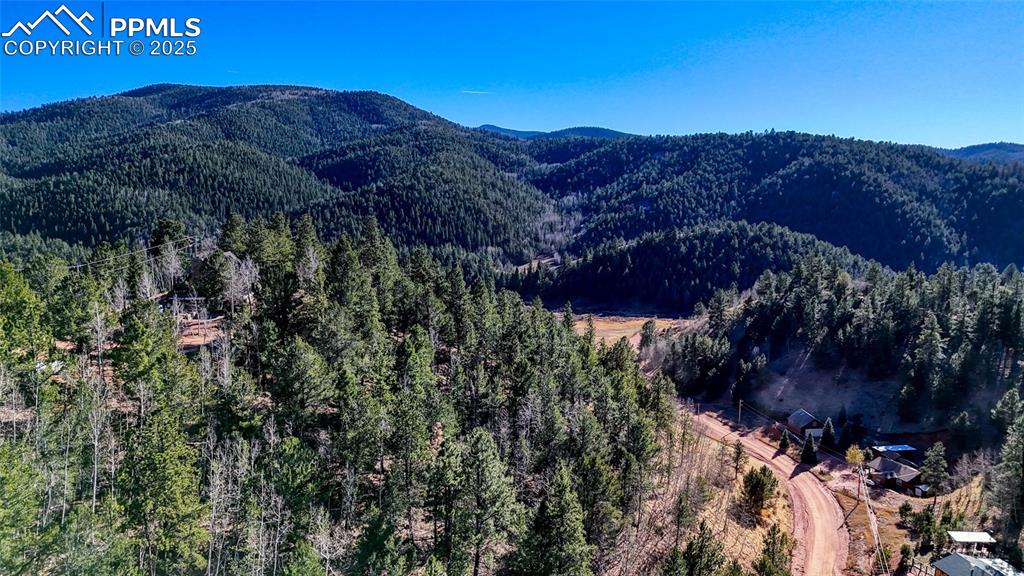 80 Beaver Pond Road Divide CO 80814