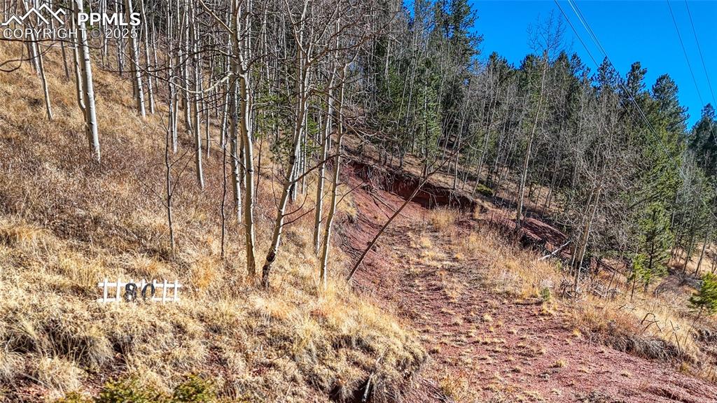 80 Beaver Pond Road Divide CO 80814