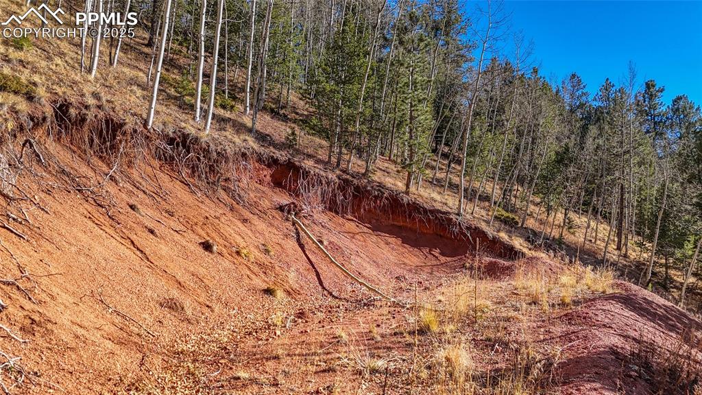 80 Beaver Pond Road Divide CO 80814