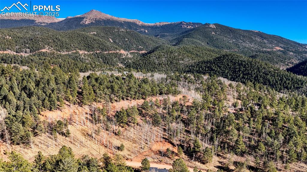 80 Beaver Pond Road Divide CO 80814