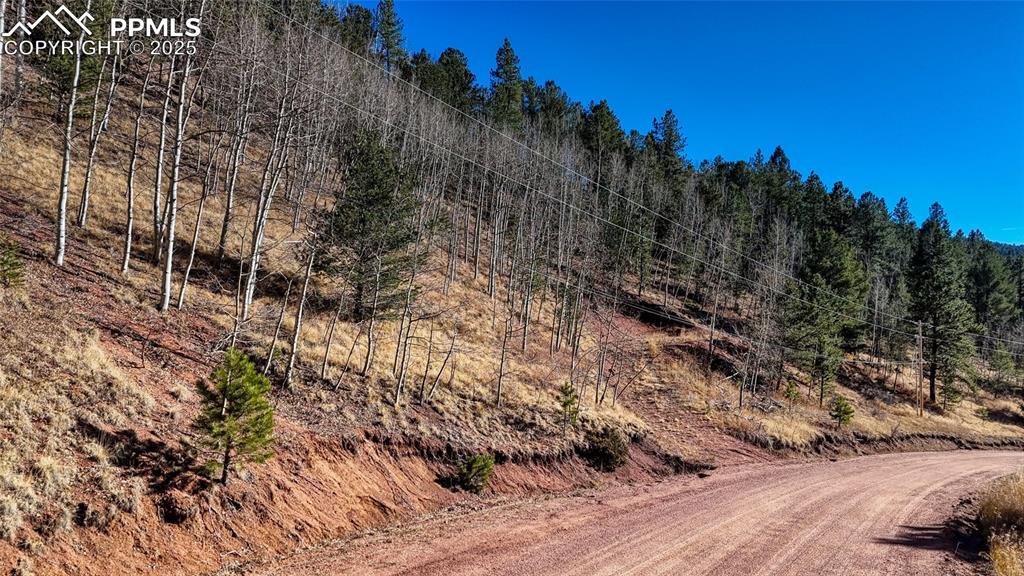 80 Beaver Pond Road Divide CO 80814