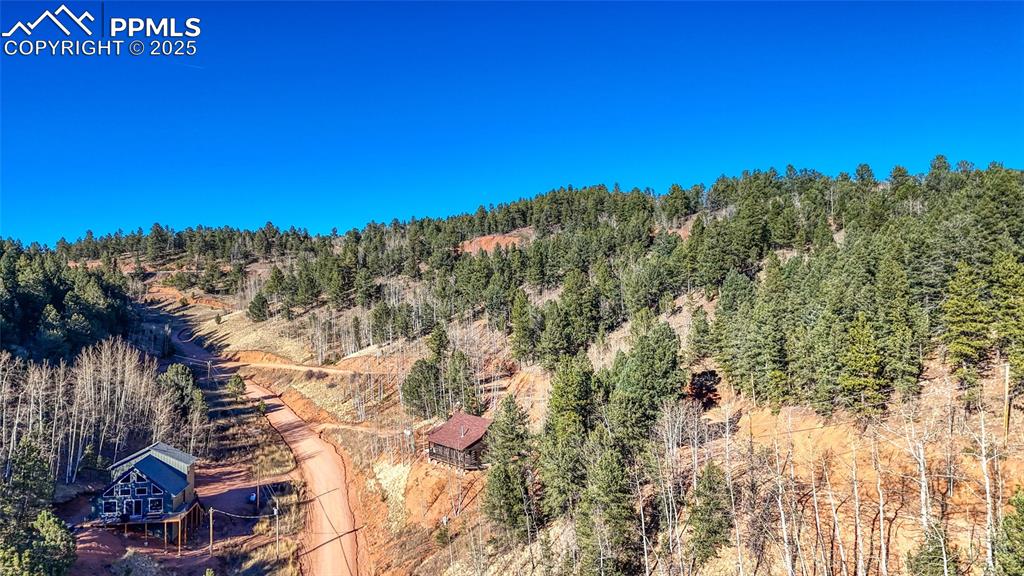 80 Beaver Pond Road Divide CO 80814