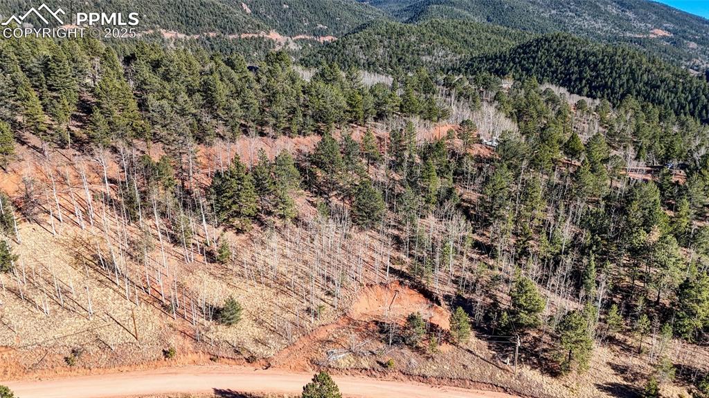 80 Beaver Pond Road Divide CO 80814