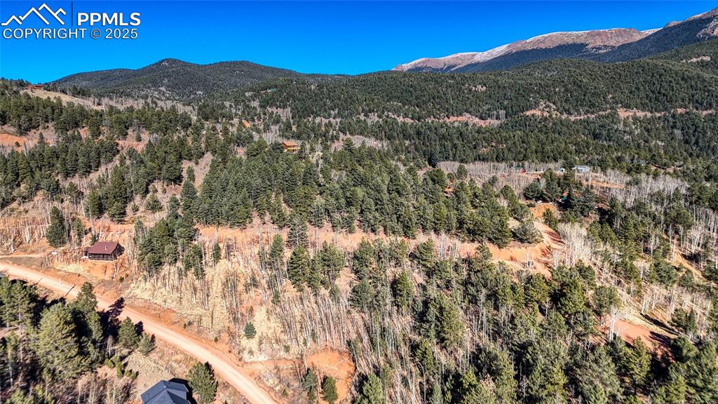 80 Beaver Pond Road Divide CO 80814