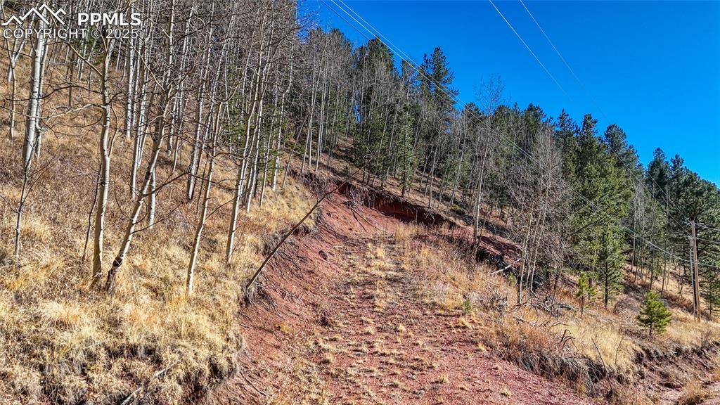 80 Beaver Pond Road Divide CO 80814