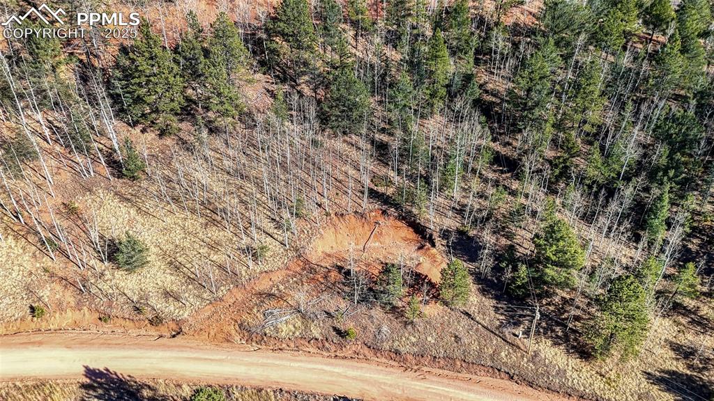 80 Beaver Pond Road Divide CO 80814