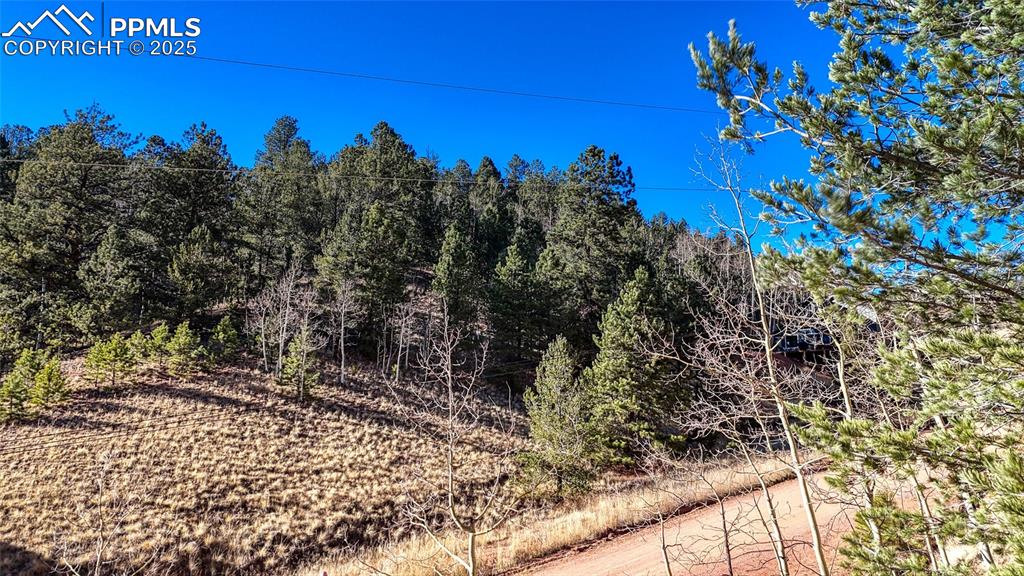 80 Beaver Pond Road Divide CO 80814