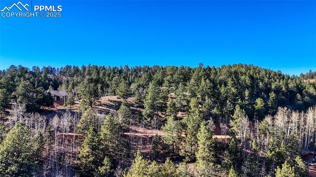 80 Beaver Pond Road Divide CO 80814