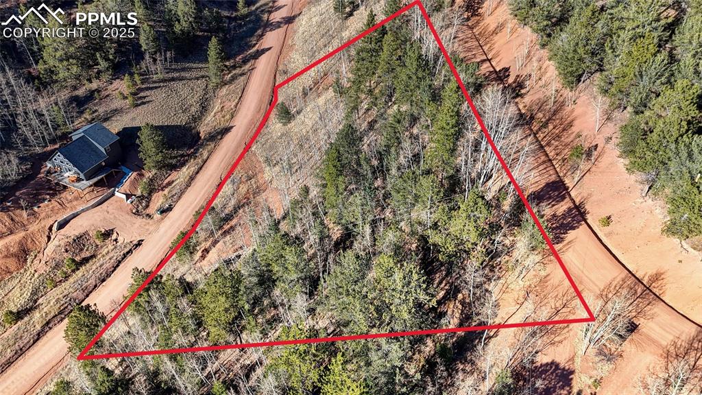 80 Beaver Pond Road Divide CO 80814