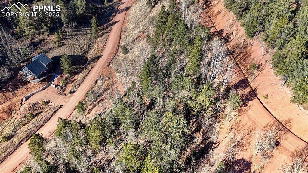 80 Beaver Pond Road Divide CO 80814