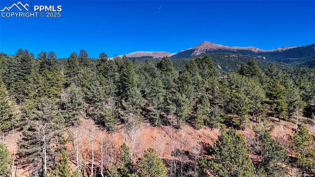 80 Beaver Pond Road Divide CO 80814