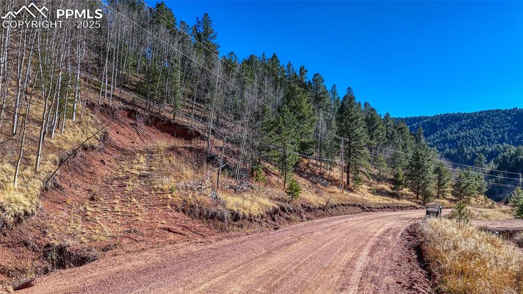 80 Beaver Pond Road Divide CO 80814