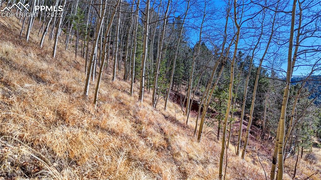 80 Beaver Pond Road Divide CO 80814