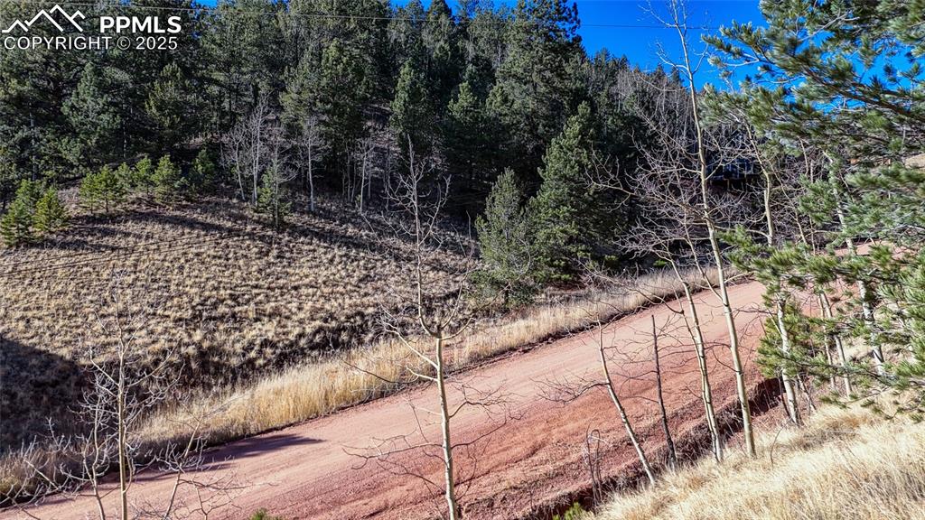 80 Beaver Pond Road Divide CO 80814