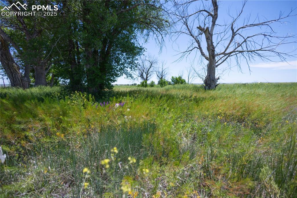 23655 E Garrett Road Calhan CO 80808