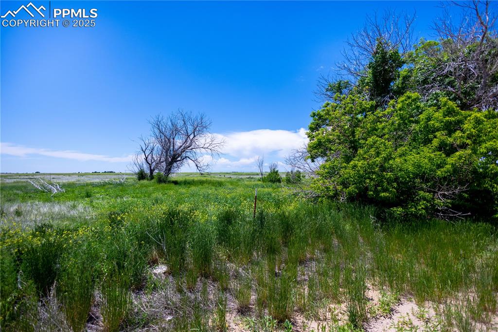 23655 E Garrett Road Calhan CO 80808