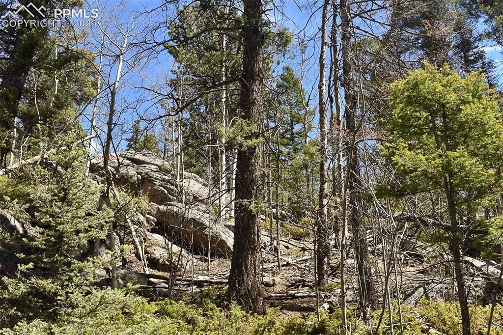 289 Timberline Drive Guffey CO 80820