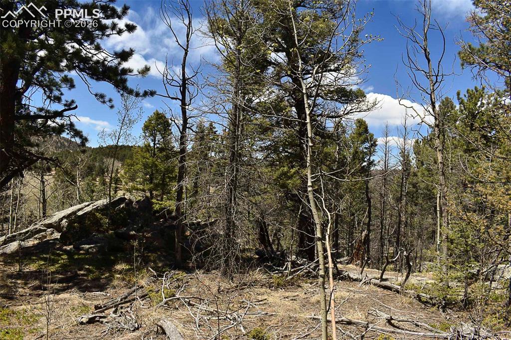 289 Timberline Drive Guffey CO 80820