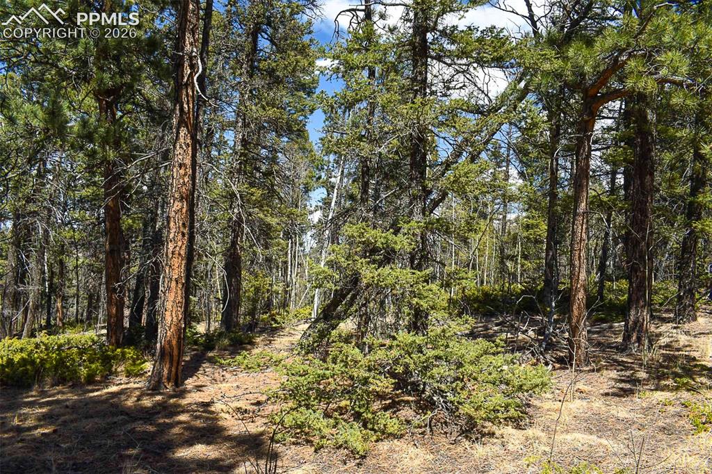 289 Timberline Drive Guffey CO 80820