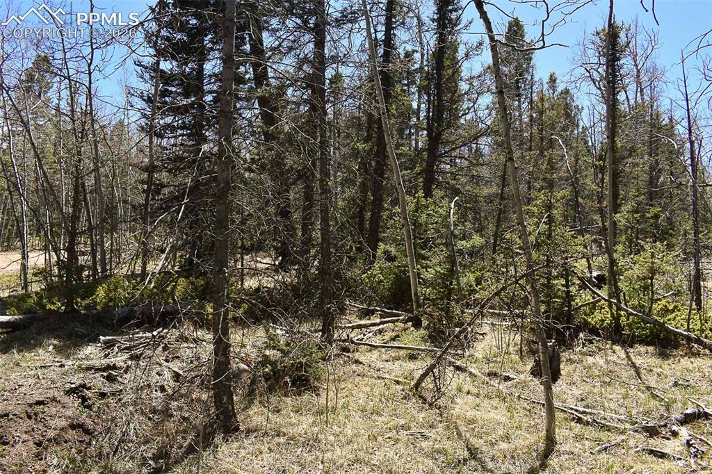 289 Timberline Drive Guffey CO 80820