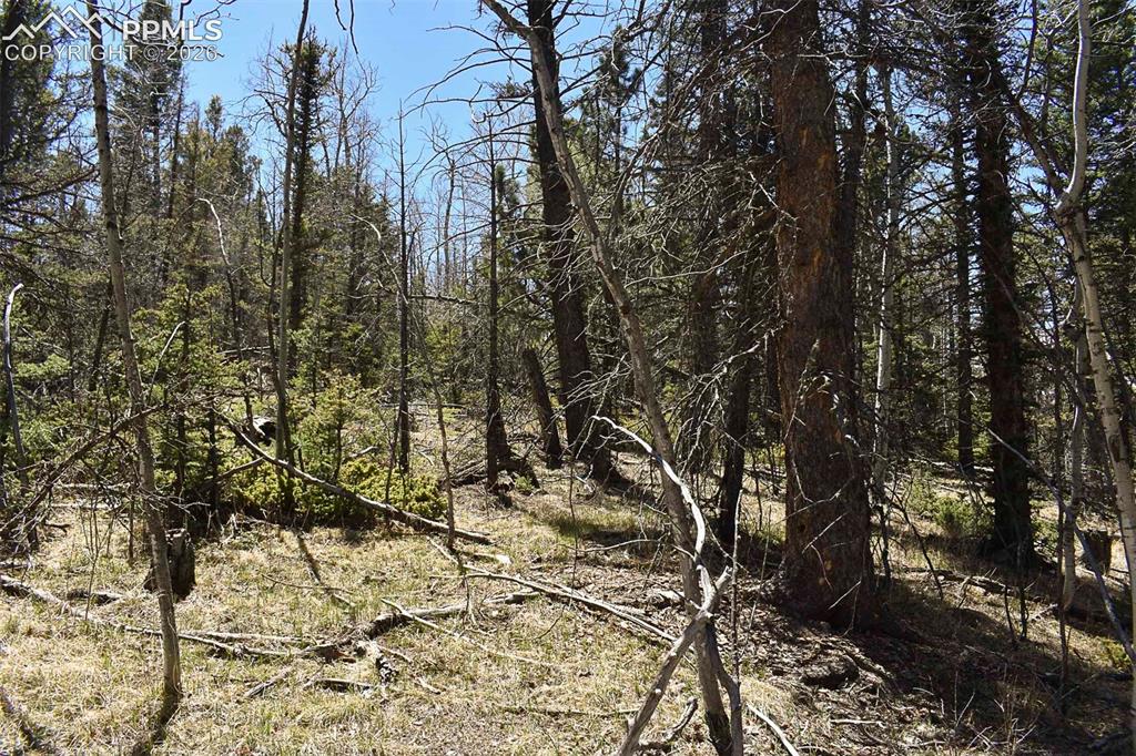 289 Timberline Drive Guffey CO 80820
