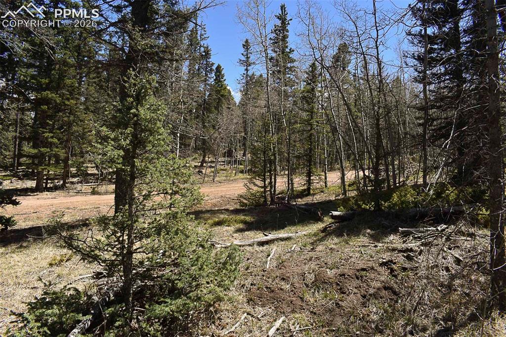 289 Timberline Drive Guffey CO 80820