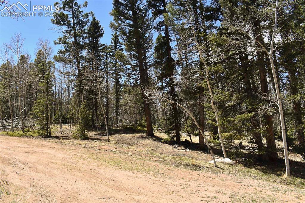 289 Timberline Drive Guffey CO 80820