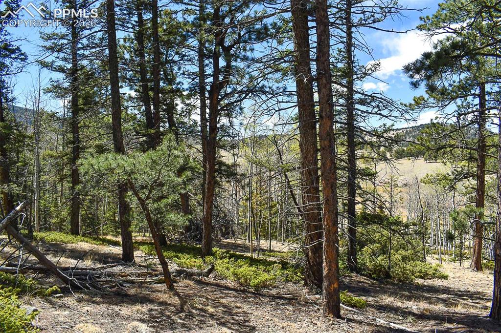 289 Timberline Drive Guffey CO 80820