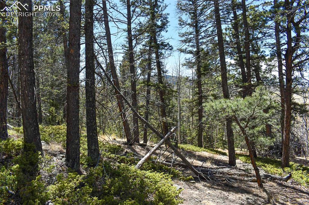 289 Timberline Drive Guffey CO 80820