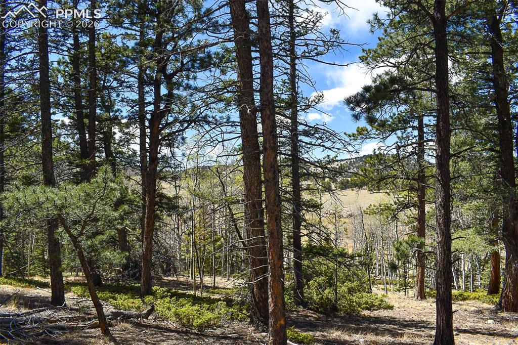 289 Timberline Drive Guffey CO 80820