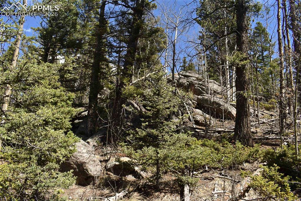 289 Timberline Drive Guffey CO 80820