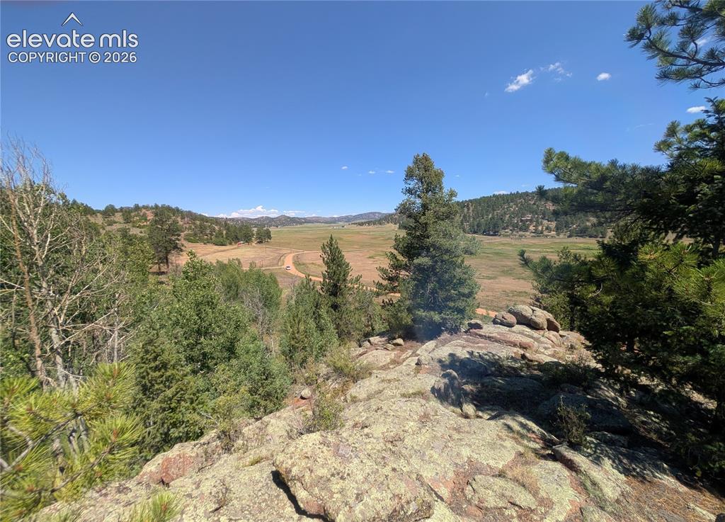 313 Elliott Drive Florissant CO 80816