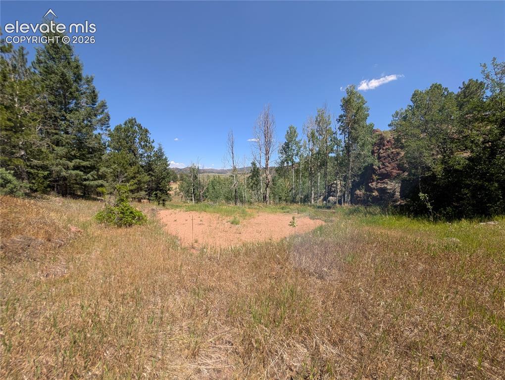 313 Elliott Drive Florissant CO 80816