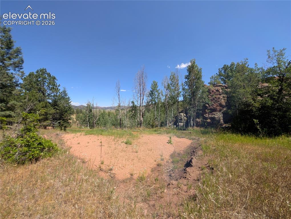 313 Elliott Drive Florissant CO 80816