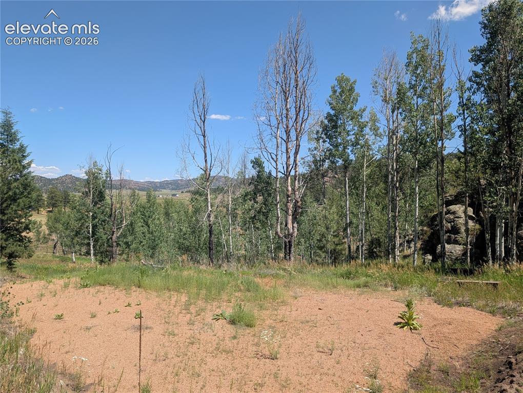 313 Elliott Drive Florissant CO 80816