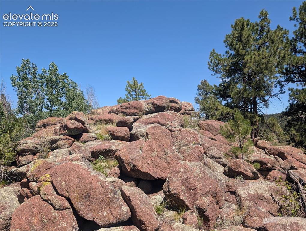 313 Elliott Drive Florissant CO 80816