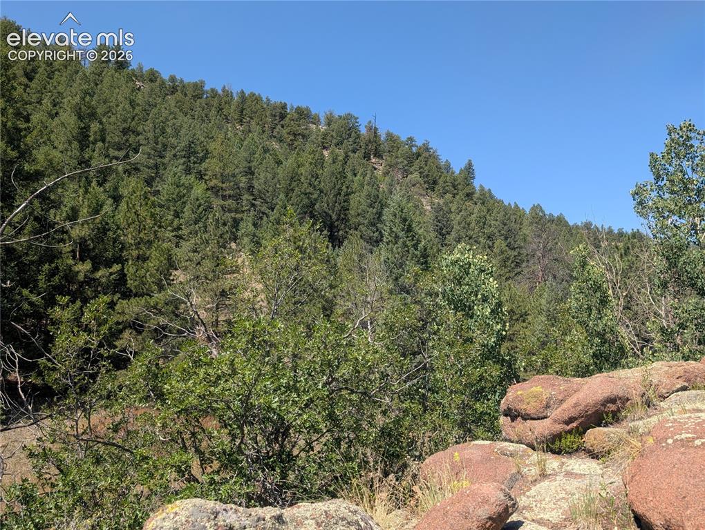 313 Elliott Drive Florissant CO 80816