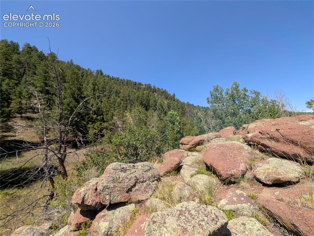 313 Elliott Drive Florissant CO 80816