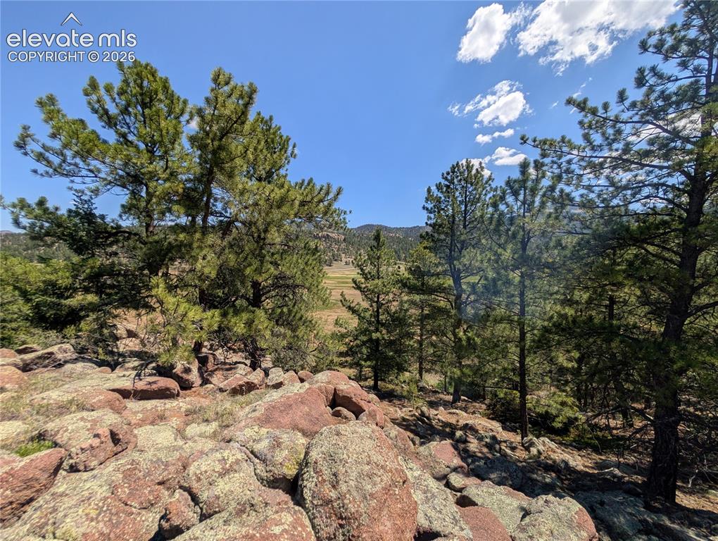 313 Elliott Drive Florissant CO 80816