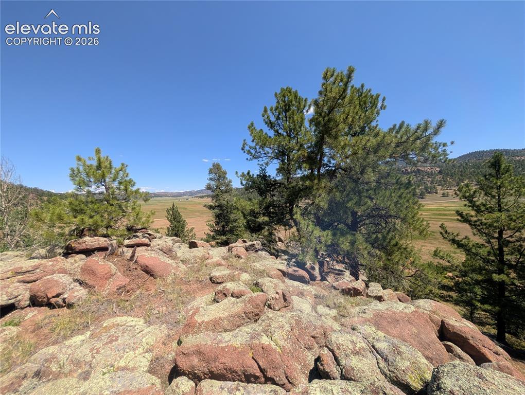 313 Elliott Drive Florissant CO 80816