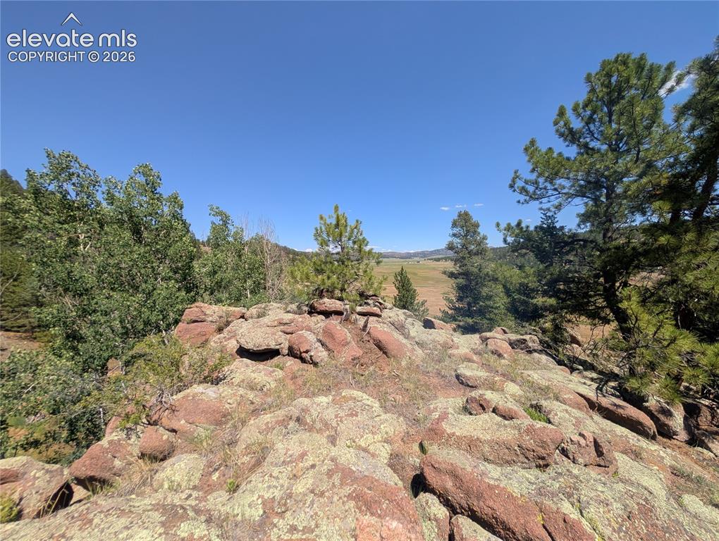 313 Elliott Drive Florissant CO 80816
